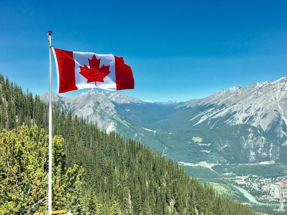 Canada dreams? Before you leave Nigeria, what skills do you have that will help you succeed in Canada? Explore these 4 vital skills before you japa to Canada